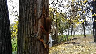 Интересные фотографии, сделанные членами клуба-img_20141014_141728.jpg