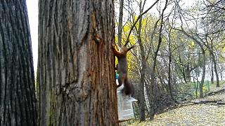 Интересные фотографии, сделанные членами клуба-img_20141014_141733.jpg
