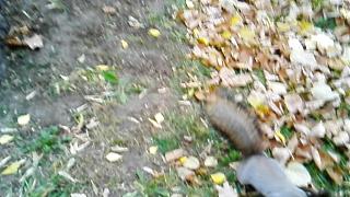 Интересные фотографии, сделанные членами клуба-img_20141014_140617.jpg