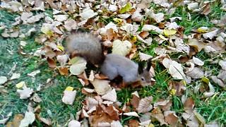 Интересные фотографии, сделанные членами клуба-img_20141014_140621.jpg