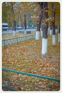 Интересные фотографии, сделанные членами клуба-kopiya-img_20141009_095755.jpg