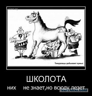Для поднятия настроения!-shkolota.jpg