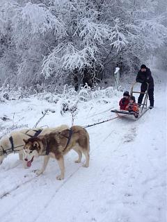 Санкт Петербург-img-20141122-wa0002.jpg
