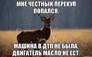 Для поднятия настроения!-peregup.jpg