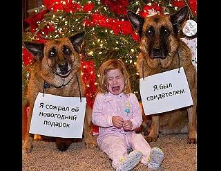 Для поднятия настроения!-orporporpora.jpg