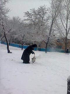 Вчера такое встретил...-foto0453.jpg