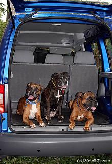 VW CADDY 1.6 BSE-image.jpg