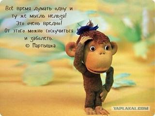 Для поднятия настроения!-4617256.jpg