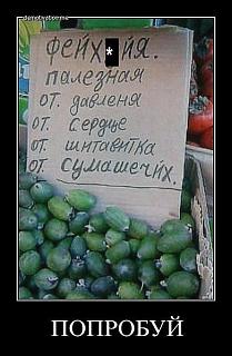 Для поднятия настроения!-atq-ef.jpg