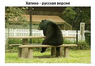 Для поднятия настроения!-6bxdpqwysbk.jpg
