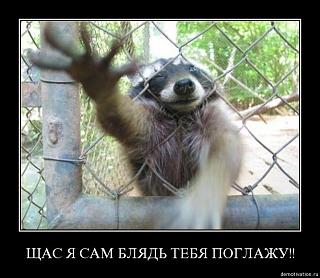 Для поднятия настроения!-052.jpg