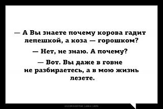 Для поднятия настроения!-razbor-v-govne.jpg