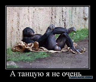 Для поднятия настроения!-image.jpg