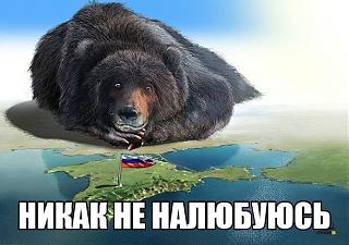 Для поднятия настроения!-b_cnnwdu8aa0bal.jpg-large.jpg
