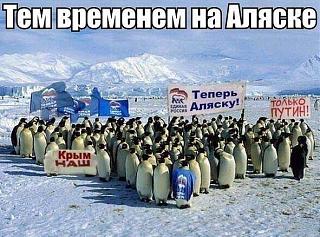 Для поднятия настроения!-139611736575294467.jpg