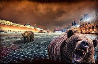 Для поднятия настроения!-auqvoiotzeg.jpg