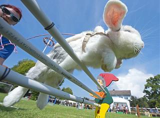Тема для тех кто любит фотографию-0_111e4b_17a5cdb1_xl.jpg