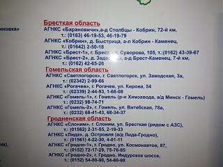 Обсуждение Caddy Maxi Life EcoFuel-brestkaya-gomelskaya-grodnenskaya.jpg