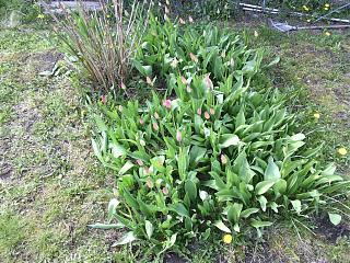 Строим "свой"дом!-img_20150425_152007.jpg
