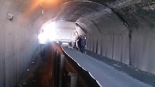 Вчера такое встретил...-dsc_0498.jpg