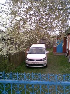 Два беляша - пара (maxi/Trendline/CLCA/2012)-foto022-1.jpg