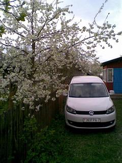 Два беляша - пара (maxi/Trendline/CLCA/2012)-foto023-1.jpg