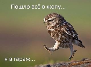 Флудилка-k6ng6snvi18.jpg
