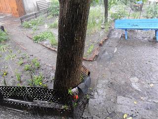 И о погоде-sam_5449.jpg