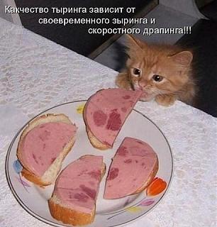 Для поднятия настроения!-ce2dd8862d00b60da2d97125c8885d85.jpg