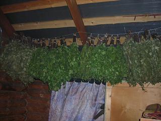 Строим "свой"дом!-dscn5509.jpg