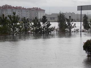 Адлер 2015-dscn1731.jpg