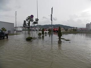 Адлер 2015-dscn1734.jpg