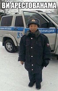 Для поднятия настроения!-image.jpg