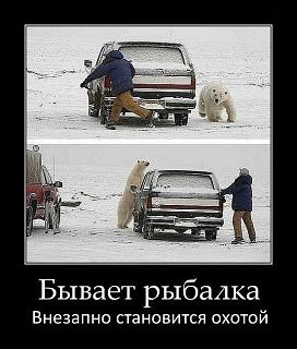 Для поднятия настроения!-tn-2-.jpg