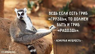 Для поднятия настроения!-lkjlkjkljl.jpg