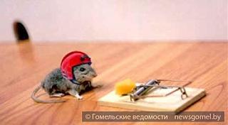 Флудилка-syr-besplatny.jpg