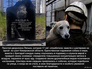 Флудилка-1438885874_543584153.jpg