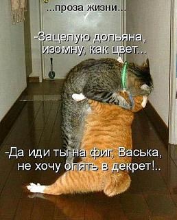 Приколы из интернета-prikol.jpg