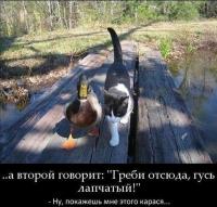 Название: post-3989-0-09158400-1422287552_thumb.jpg
Просмотров: 221

Размер: 10.7 Кб