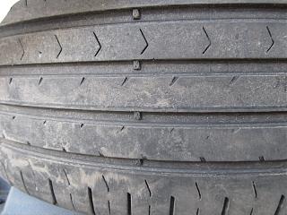 Отдам бесплатно-img_2641_resize.jpg