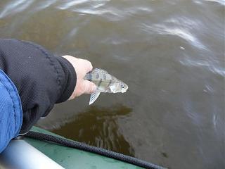 Рыбалка-sam_5626.jpg