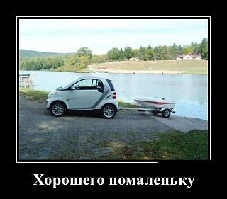 Для поднятия настроения!-4692035_d14be08f.jpg