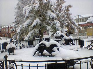 И о погоде-gusi.jpg