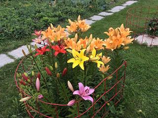 Строим "свой"дом!-img_0772.jpg