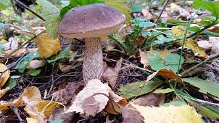 Интересные фотографии, сделанные членами клуба-20150919_152341.jpg