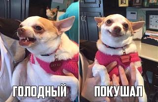 Приколы из интернета-flfz7j-uxa4.jpg