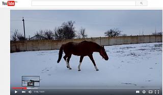 И о погоде-2016-01-08-08-57-36-skrinshot-ekrana.jpg