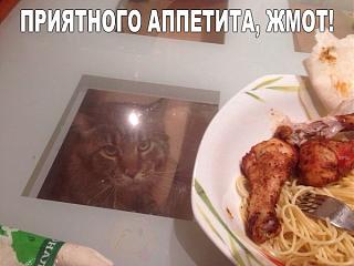 Приколы из интернета-8599a19cf53724bd3aa72b88a868ea9a.jpg