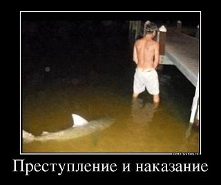 Для поднятия настроения!-8418536_prestuplenie-i-nakazanie.jpg