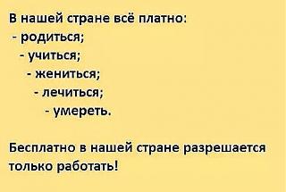 Приколы из интернета-bittpgtk8yg.jpg